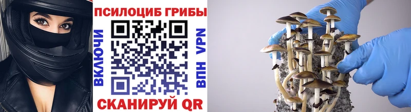 Псилоцибиновые грибы Magic Shrooms  Купить  Сковородино 