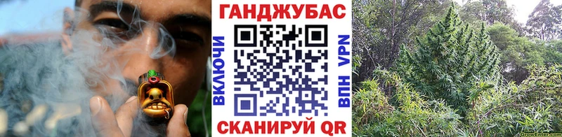 Конопля THC 21% Сковородино